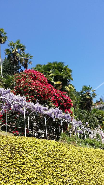 Appartamenti Orta 오르타산줄리오 객실 사진